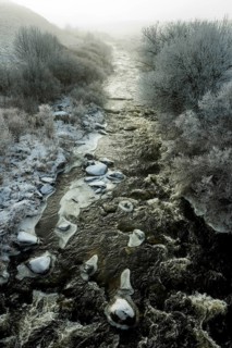 Aubrac plateau. Frozen river Bès. Lozere. Occitanie. France
