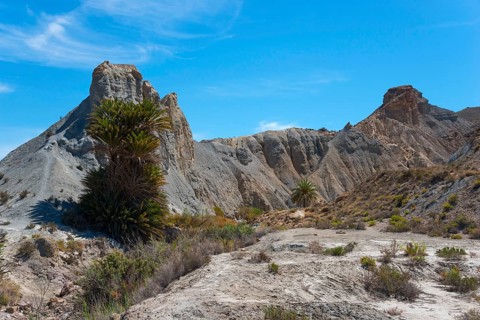 A barren desert landscape with high rocks and scattered palm trees under a blue sky, Oasis de