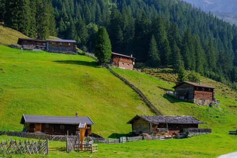 Helgas Alm, Valser Tal, Valser Tal Natura 2000 nature reserve, Wipptal, Tyrol, Austria, Europe