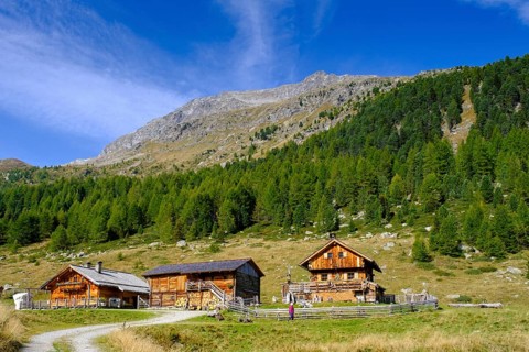 Staller Almen, high valley, Staller Sattel, Defereggen Valley, East Tyrol, Austria, Europe