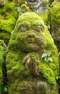 Close-up of moss-covered stone statue of rakan, the disciple of Buddha, Otagi Nenbutsu-ji temple,