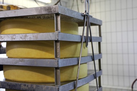 Production of Emmental cheese in the cheese dairy (Allgäu, Bavaria)