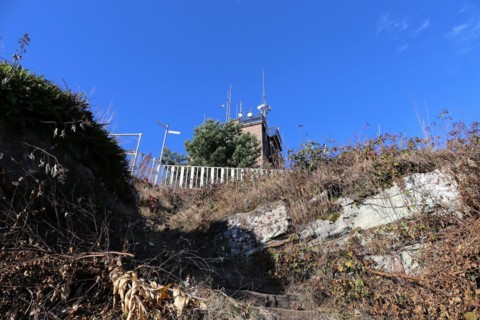 View of the summit of the Kalmit, the highest peak in the Palatinate Forest at 672 metres above sea