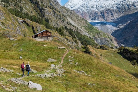 The UNESCO Panorama Trail from Belalp to Riederfurka, hiking, hiking, mountain hiking, view of the