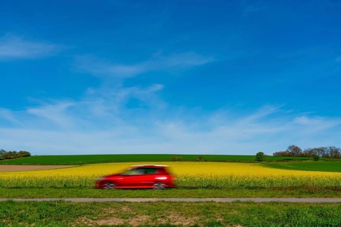 Country road by a flowering rape field, landscape near Mülheim an der Ruhr, Germany, Europe
