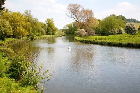 River Avon chalk river at Middle Woodford, Woodford Valley, near Salisbury, Wiltshire, England,