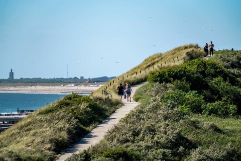 Dunes, hiking trail, beach near Zoutelande province of Zeeland, Walcheren peninsula, Netherlands