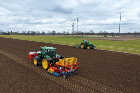Lettuce plants are planted with a planting machine, tractor with roundabout harrow prepares the