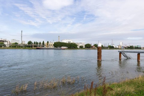 BASF, Lugwigshafen am Rhein, industrial area, bollard, jetty, Mannheim, Baden-Württemberg, Germany,