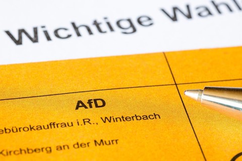Ballot paper, ballot paper, election matter, AFD, regional election, district council election,