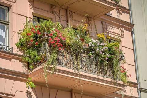 Green balcony, old building, Kopischstraße, Kreuzberg, Berlin, Germany, Europe