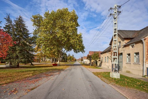 Trees and houses along the village road, Möglenz district, Bad Liebenwerda, Elbe-Elster district,