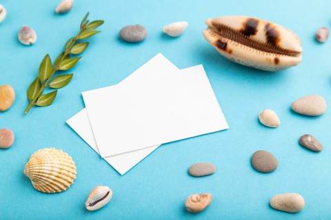 Composition with white paper business cards, seashells, green boxwood. mockup on blue pastel