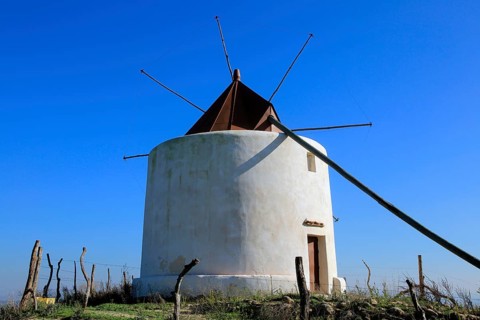 Traditional windmill, Vejer de la Frontera, Cadiz Province, Spain, Europe