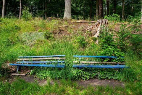 Landscape at Hellsee in Lanke, Bernau, Brandenburg, Germany, Europe