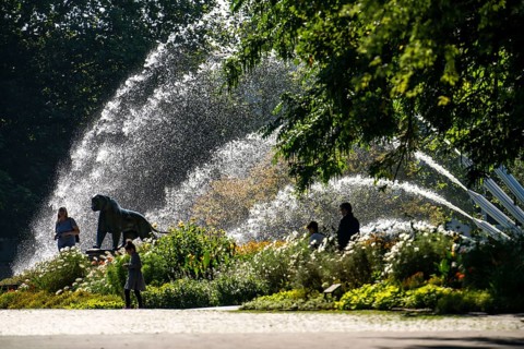 The Grugapark, main entrance at the Grugahalle, five-jet water fountain, bronze artwork, tiger,