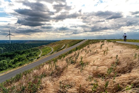 Hoheward spoil tip, spoil tip landscape, view to the west, wind power plant on the Hoppenbruch