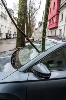 North Rhine-Westphalia, Germany, storm damage, a good 4 metre long branch was broken off by the