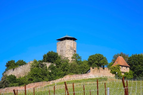 Hohenbeilstein Castle, hilltop castle, vineyards, Beilstein, Heilbronn district, Baden-Württemberg,
