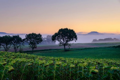 Morning fog over the Werra valley, from the Schlierbachsattel, Oberdünzenbach near Eschwege,
