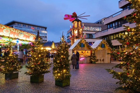Stalls, Christmas trees and Christmas pyramid at the Christmas market at Neumarkt, Blue Hour,