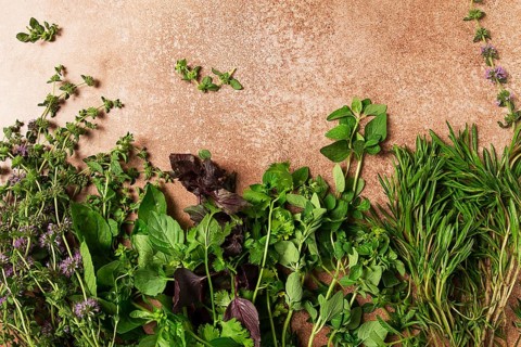 Assortment of herbs, spices, top view, set, basil, tarragon, ombalo, rosemary, food background,