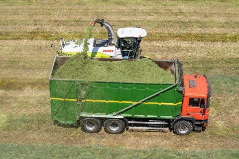 Hay harvest, on a Rhine meadow near Duisburg-Beeckerwerth, a forage harvester picks up the cut