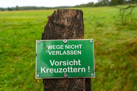 The Pietzmoor, raised bog in the Lüneburg Heath nature reserve, warning of adder snakes, near
