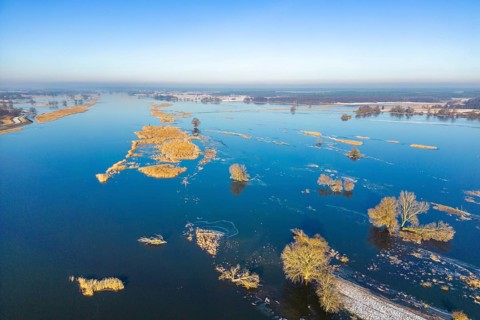Aerial view, drone photo: Flood, flooded meadows in the floodplains along the river Oder, Groß