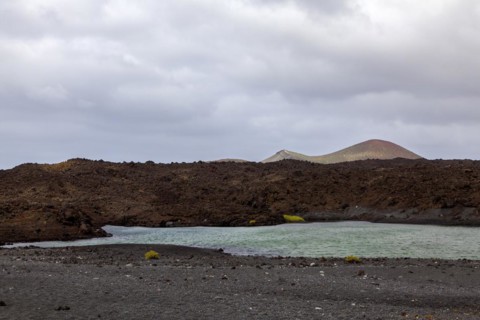 Water pool at Playa de Montaña Bermeja, volcanic landscape, Lanzarote, Canary Island, Spain, Europe