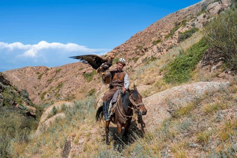 Traditional Kyrgyz eagle hunter with eagle in the mountains, hunting on horseback, near Kysyl-Suu,