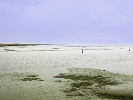 Low tide, mudflats, Dollart, Nieuwe Statenzijl, Netherlands