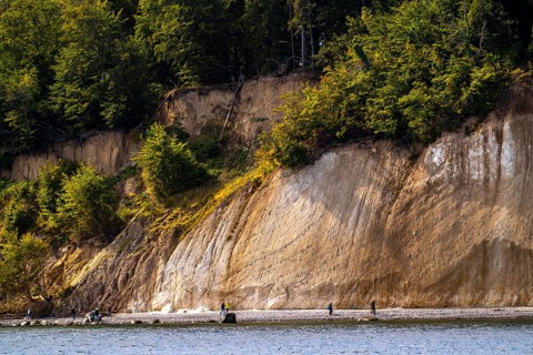 The chalk cliffs of Rügen, cliffs of the Stubbenkammer, in the Jasmund National Park, hiker on the