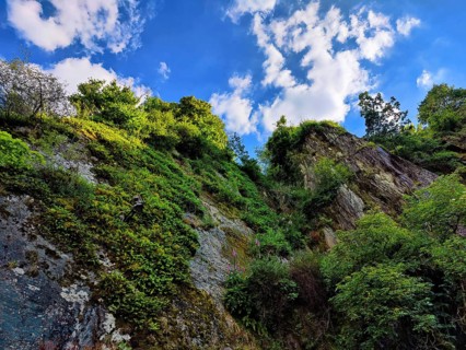 Very steep, partially overgrown rock face with a view upwards into the sky, Vianden, Canton of