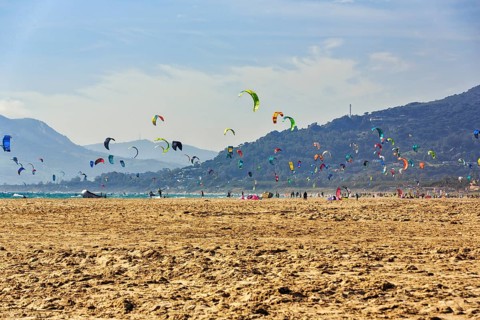 Coastline, countless kitesurfers on the horizon, hotspot for surfers, Tarifa Beach, Tarifa, Cadiz,