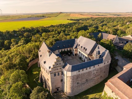 Aerial view of a medieval castle surrounded by green trees and fields, Harz Mountains, Allstedt,