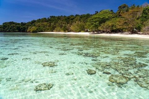 Coral reef on the dream beach of Ao-niang on the island of Koh Kradan in the Andaman Sea, voted the