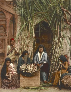 Cairo. Sugarcane sellers, Egypt, digitally restored reproduction from a 19th century original,