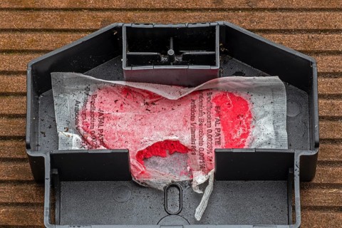 Open mouse bait station showing nibbling traces on bag with Brodifacoum rodenticide, poisonous