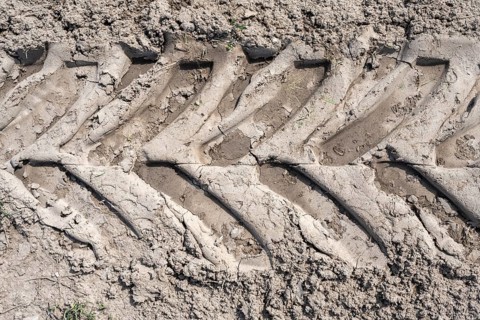 Tyre imprint of a heavy agricultural machine on soil, field, soil compaction, soil damage, Hegau,