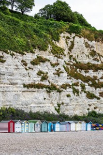 White Cliff, Jurassic Coast, Beer Village, Seaton, Devon, England, United Kingdom, Europe