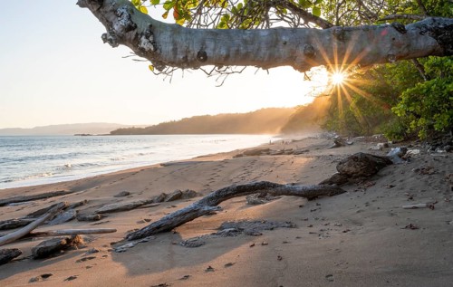 Sandy beach beach and sea at sunset, sun star, Playa Cocalito, coastal landscape, Pacific coast,