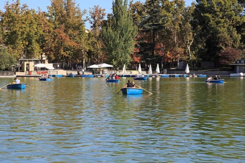 Rowing boats in boating pond of Estanque, El Retiro park, Madrid, Spain, Europe