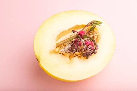 Sliced ripe yellow melon and dicentra flowers on pink pastel background. Side view, close up.