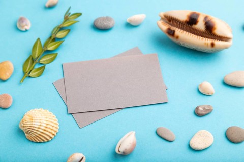 Composition with gray paper business cards, seashells, green boxwood. mockup on blue pastel