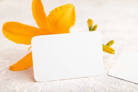 White paper business card mockup with orange day-lily flower on gray concrete background. Blank,