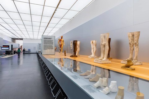 Founded in 1912, the Deutsches Hygiene-Museum is a museum in Dresden. It sees itself as a public