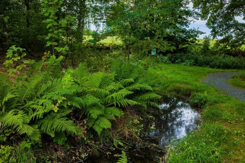 Mine water drainage at Drei Fürsten Stolln, Halsbrücke, Halsbrücke, Saxony, Germany, Europe