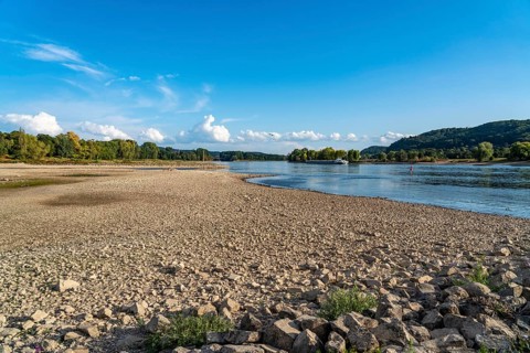 The Rhine at extremely low water, near Bad Honnef Rhöndorf, below the Drachenfels, Nonnenwerth