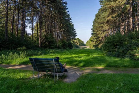 The main cemetery in Dortumund-Brackel, the largest green space in the city and one of the largest